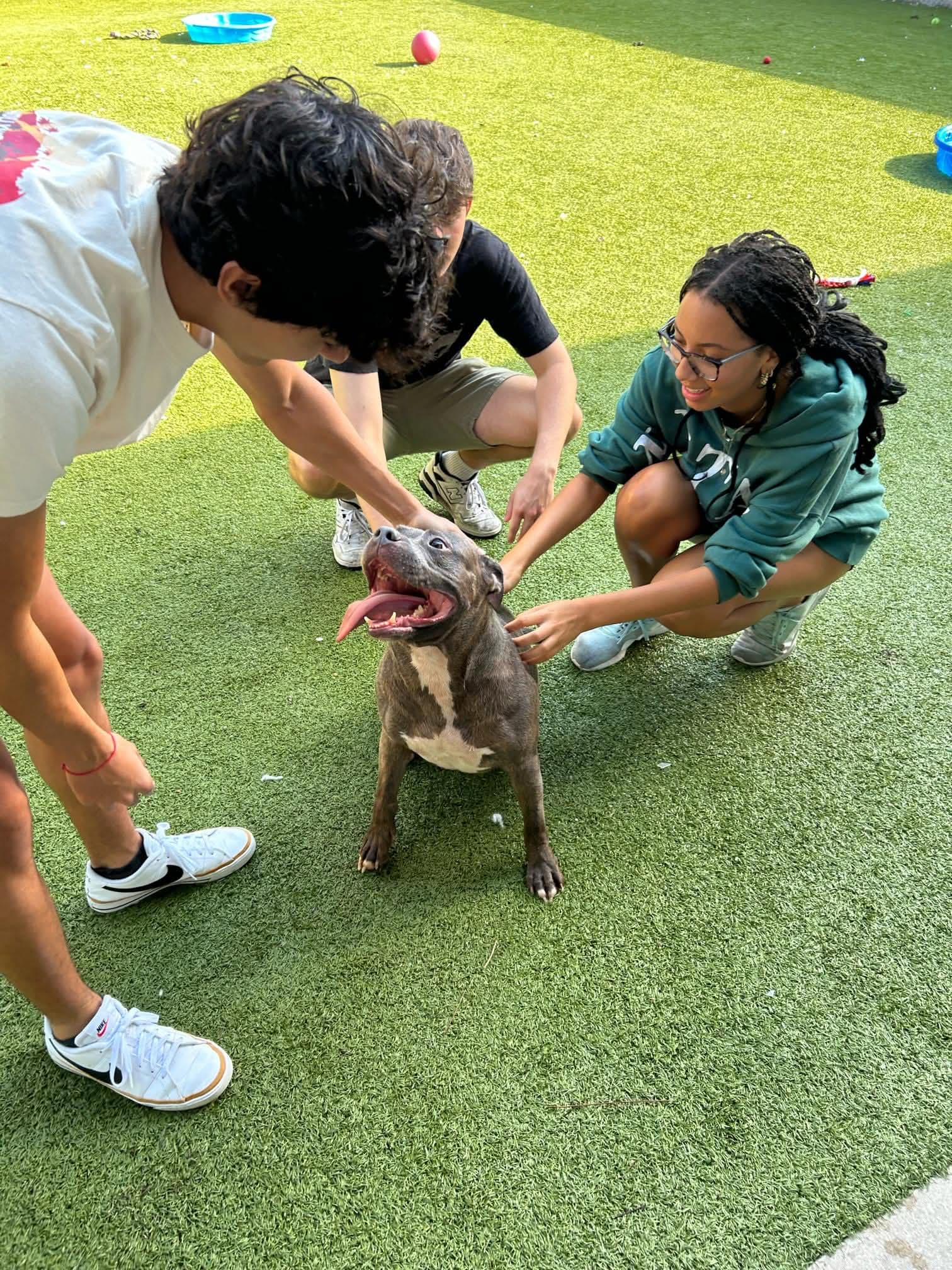 Brothers serving the community